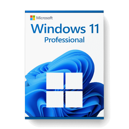 Licenta Windows 10/11 Pro