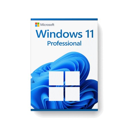 Licenta Windows 10/11 Pro