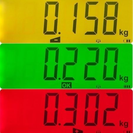 Cantar pliabil de perete INOX W-SS Si10S WC-SS 300kg, CE-M